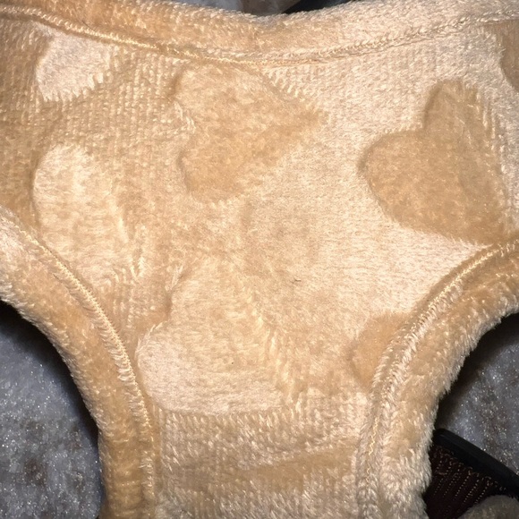 Pet harness and leash set - Picture 3 of 5